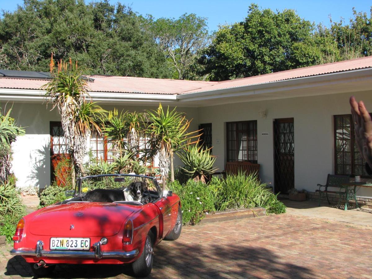 Kaiser'S B&B Grahamstown Ngoại thất bức ảnh